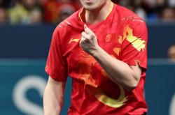 雷速体育电脑版官网-关于英国乒乓球队爆冷波兰乒乓球队，樊振东高光表现的信息
