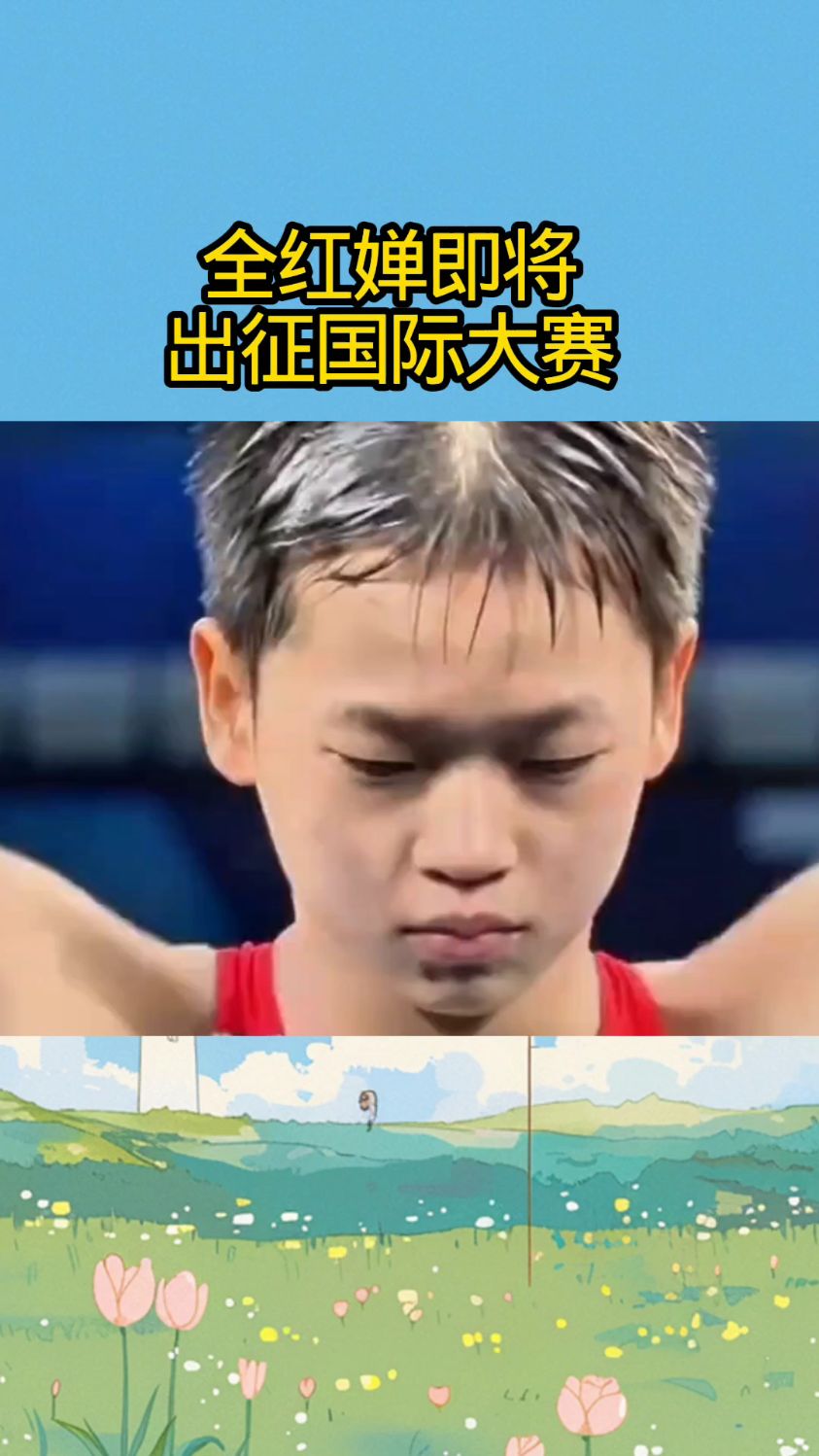 球员出征国际大赛，代表国家赞誉